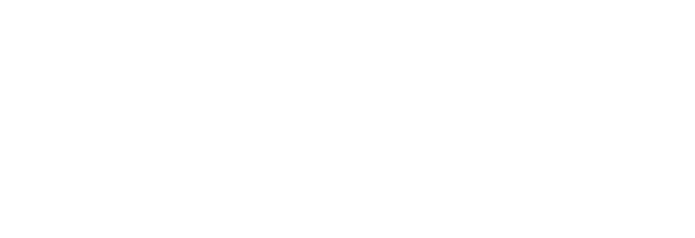 Cyber Houston